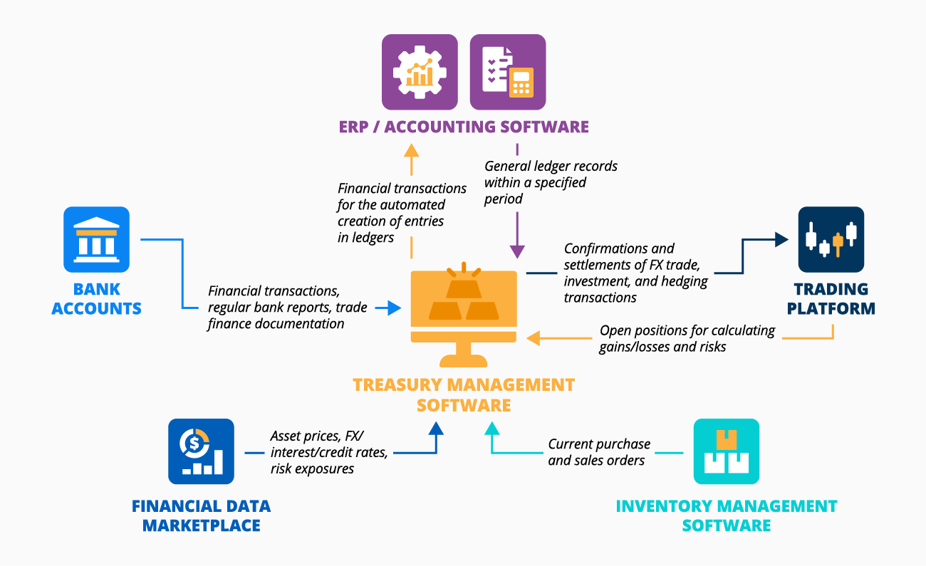 Treasury Management Software